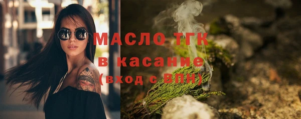 индика Инта