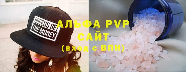 индика Инта