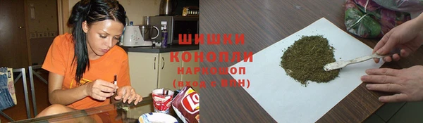 стафф Каменка