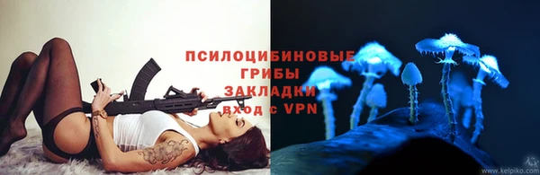 индика Инта