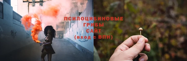 прущие крисы Мурманск