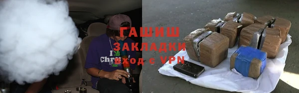 индика Инта