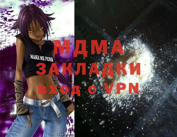 индика Инта