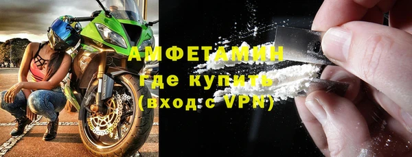 индика Инта
