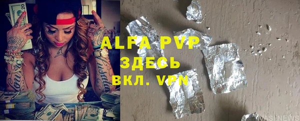 индика Инта