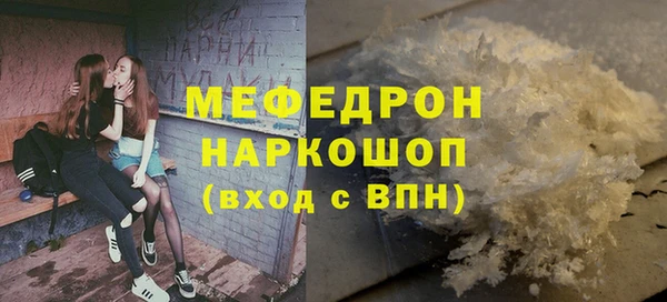 индика Инта