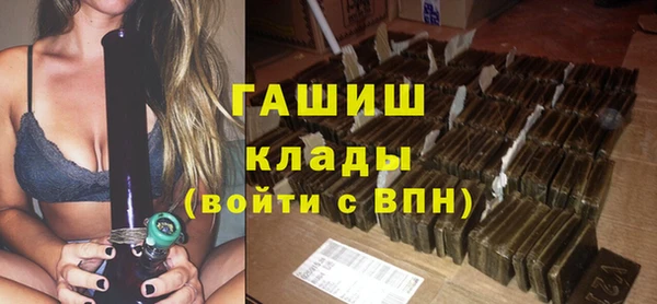 индика Инта