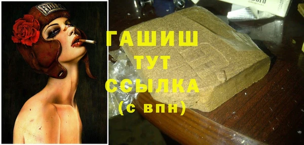 индика Инта