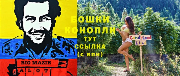 прущие крисы Инсар