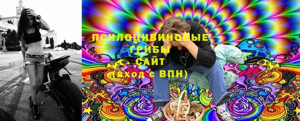 индика Инта